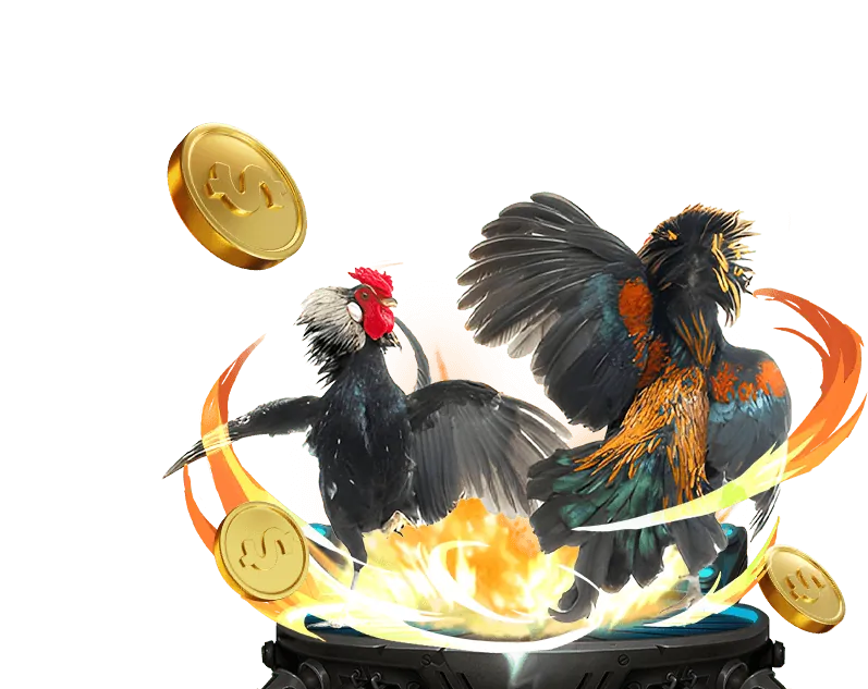 Đá gà trực tuyến 678win.bet